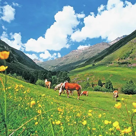 In Austria With Mountain Views *