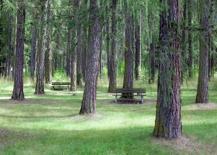 In Austria With Mountain Views *