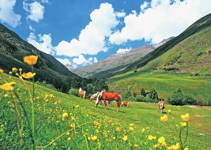 In Austria With Mountain Views *