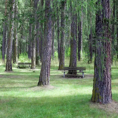 In Austria With Mountain Views *